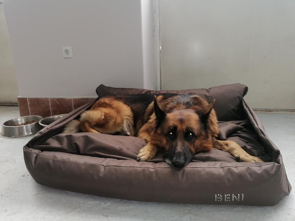 Fotelja (soteks) - Slika 6