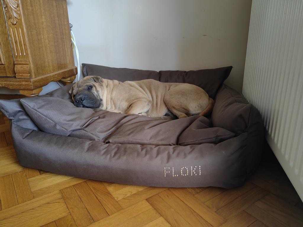 Fotelja (soteks) - Slika 4