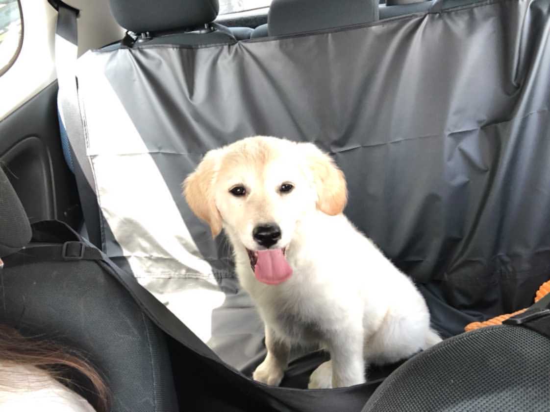 Prekrivač za sedište 120x140cm - Slika 2