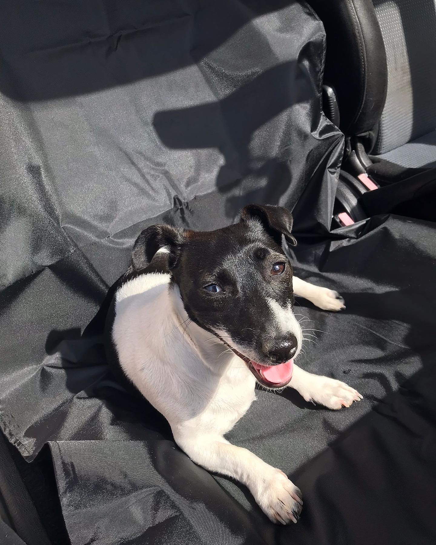 Prekrivač za sedište 144x160cm - Slika 2