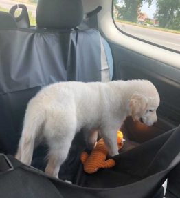 Prekrivač za sedište 120x140cm