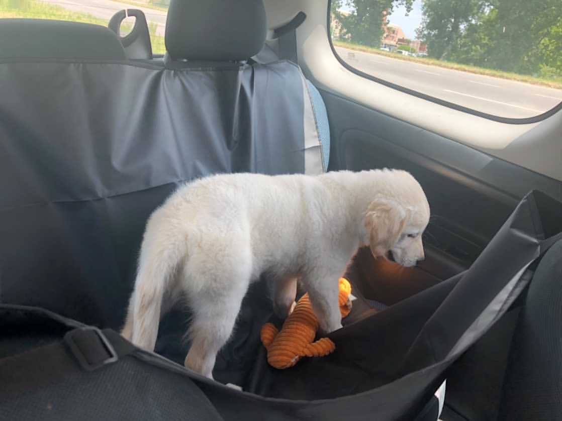 Prekrivač za sedište 120x140cm