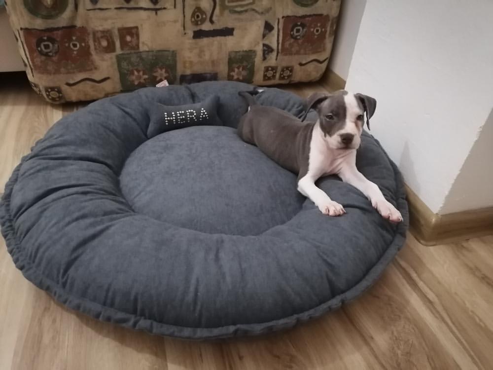 Basic (gnezdo) krevetić (mikrofiber) - Slika 9