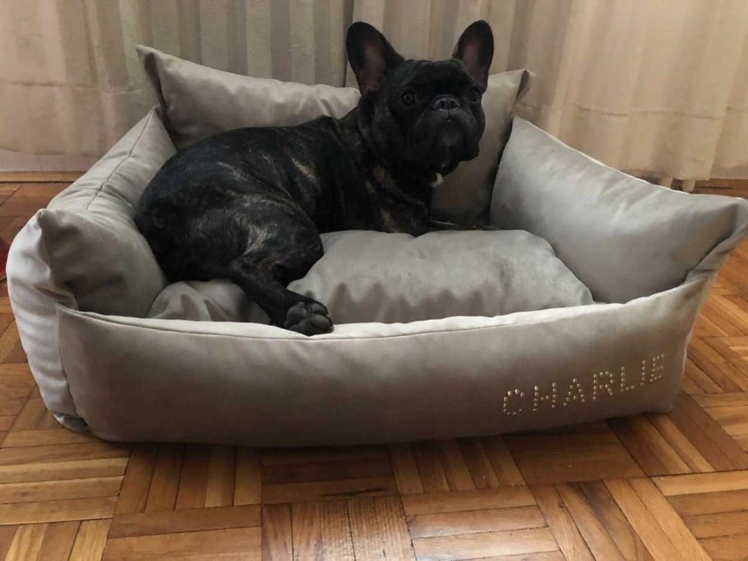 Fotelja (pliš) - Slika 6